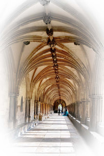 Cloisters, Norwich Cathedral